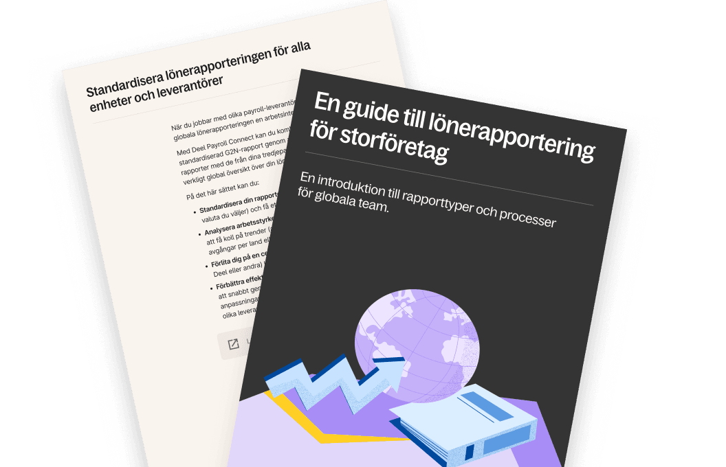 En guide till lönerapportering för storföretag