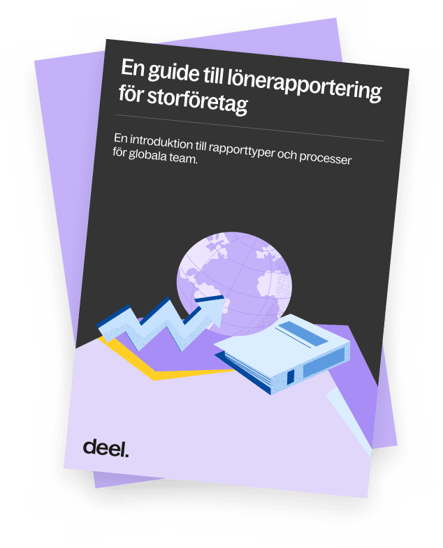 En guide till lönerapportering för storföretag